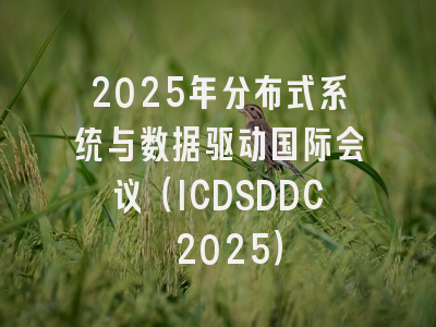 2025年分布式系统与数据驱动国际会议(ICDSDDC 2025)
