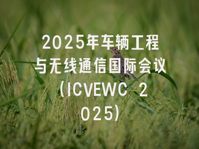 2025年车辆工程与无线通信国际会议(ICVEWC 2025)