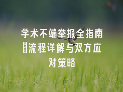 学术不端举报全指南：流程详解与双方应对策略