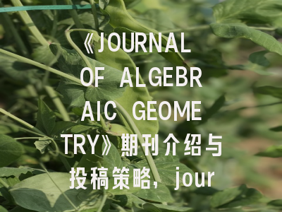 《JOURNAL OF ALGEBRAIC GEOMETRY》期刊介绍与投稿策略,journal of geometry analysis