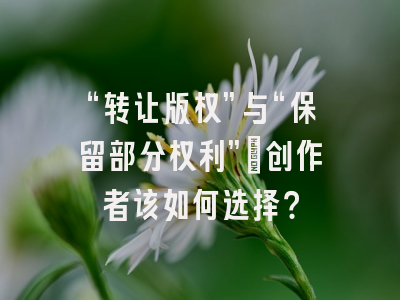 “转让版权”与“保留部分权利”：创作者该如何选择？