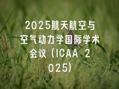 2025航天航空与空气动力学国际学术会议(ICAA 2025)