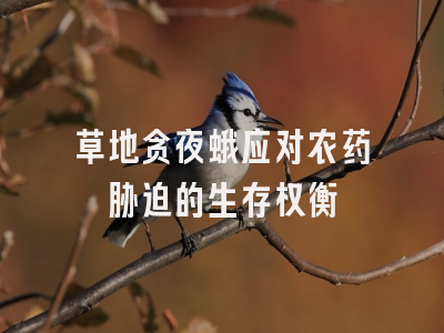 草地贪夜蛾应对农药胁迫的生存权衡