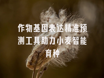 作物基因表达精准预测工具助力小麦智能育种