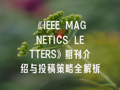 《IEEE MAGNETICS LETTERS》期刊介绍与投稿策略全解析