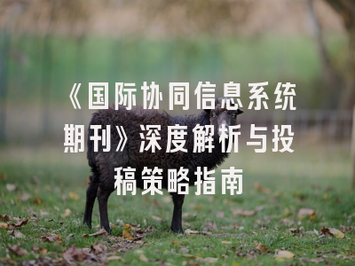 《国际协同信息系统期刊》深度解析与投稿策略指南