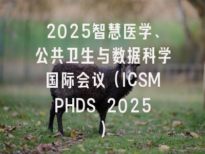 2025智慧医学、公共卫生与数据科学国际会议（ICSMPHDS 2025）