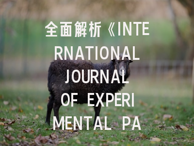 全面解析《INTERNATIONAL JOURNAL OF EXPERIMENTAL PATHOLOGY》的学术价值与投稿技巧