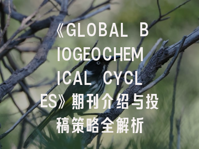 《GLOBAL BIOGEOCHEMICAL CYCLES》期刊介绍与投稿策略全解析