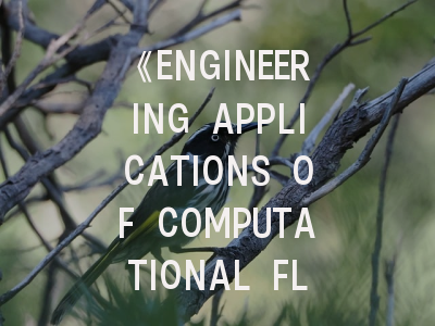 《ENGINEERING APPLICATIONS OF COMPUTATIONAL FLUID MECHANICS》期刊介绍与投稿策略解析