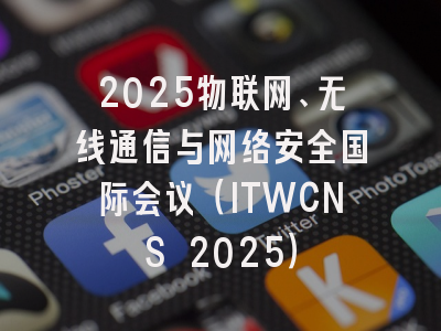 2025物联网、无线通信与网络安全国际会议（ITWCNS 2025）