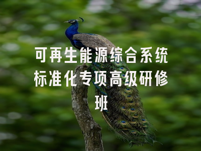 可再生能源综合系统标准化专项高级研修班