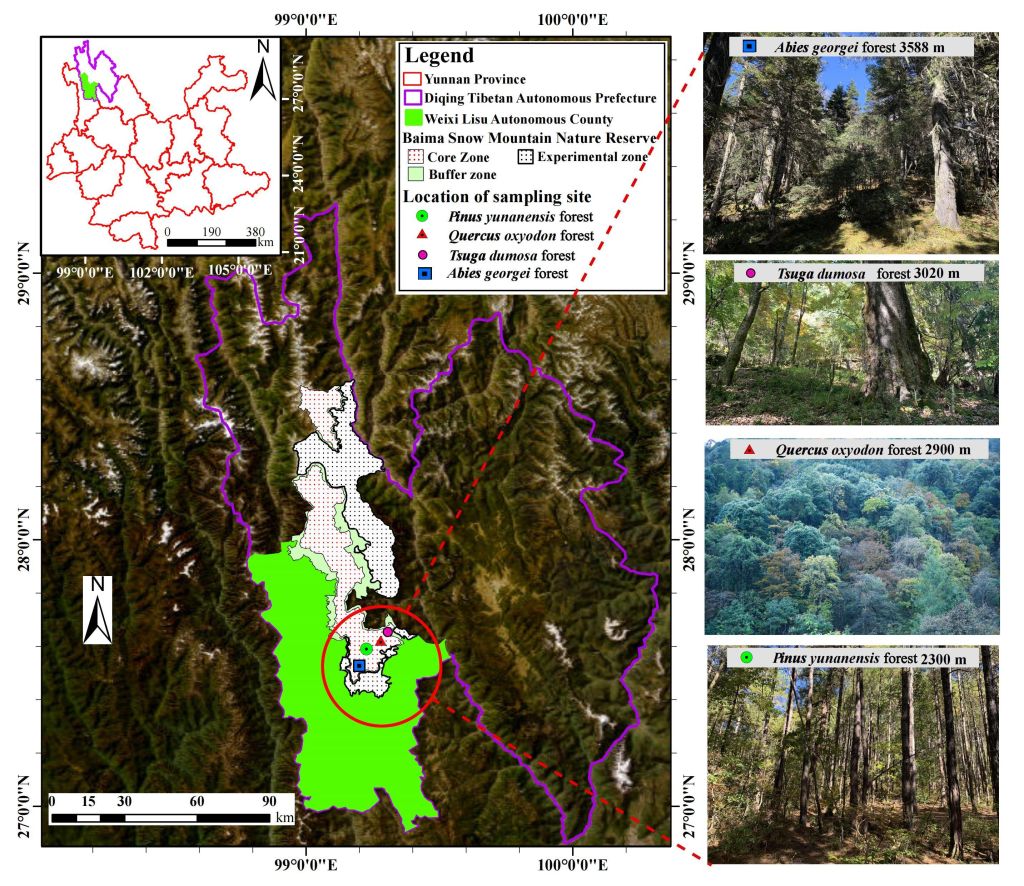 高原所在白马雪山典型森林群落完整性格局及驱动因子方面取得进展