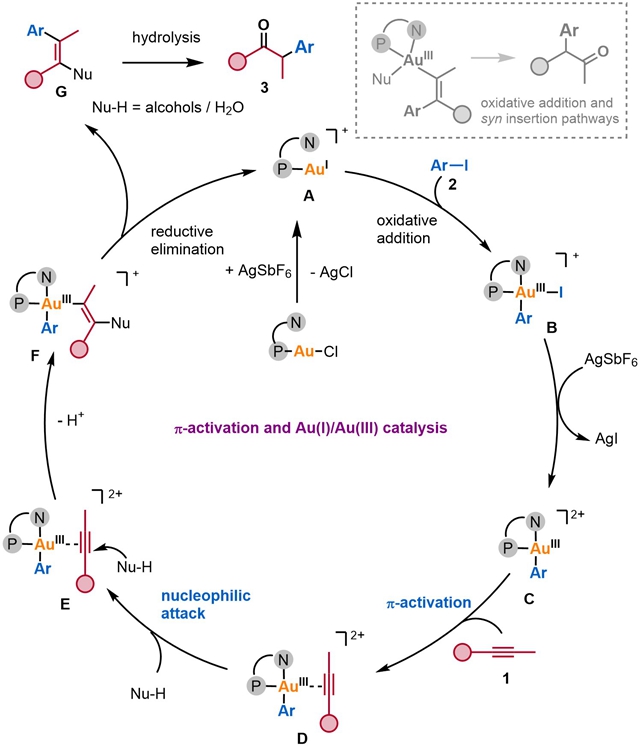 北理工团队在金催化炔烃1,2-双官能化领域取得重要进展