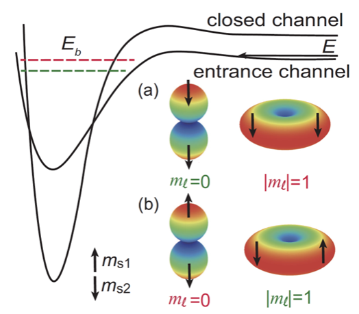 中山大学罗乐团队在超冷原子p波相互作用的精密测量中取得重要进展