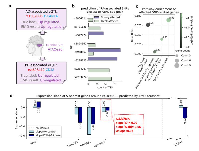 上海交大林关宁团队面向真实语境,定量解析“非编码突变→基因表达”,助力复杂疾病研究