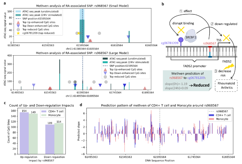 上海交大林关宁团队面向真实语境,定量解析“非编码突变→基因表达”,助力复杂疾病研究