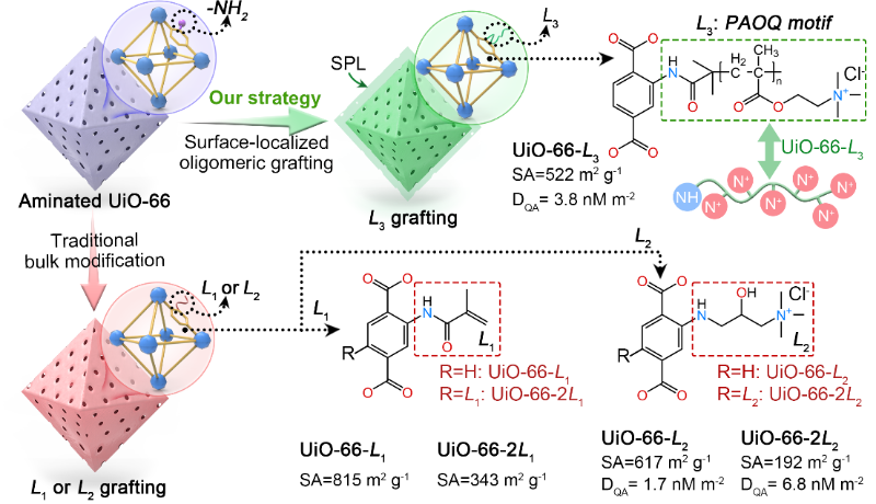 上海交大罗金明副研究员ANGEW发文:表面邻位烷基季胺盐低聚物局域修饰UiO-66-NH2高效去除水中长链PFAS及衍生物
