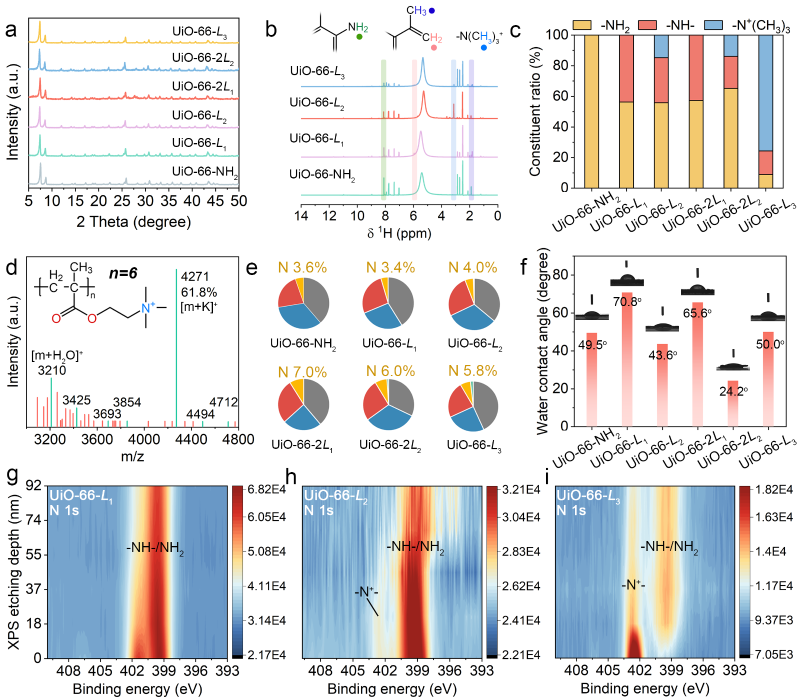 上海交大罗金明副研究员ANGEW发文:表面邻位烷基季胺盐低聚物局域修饰UiO-66-NH2高效去除水中长链PFAS及衍生物