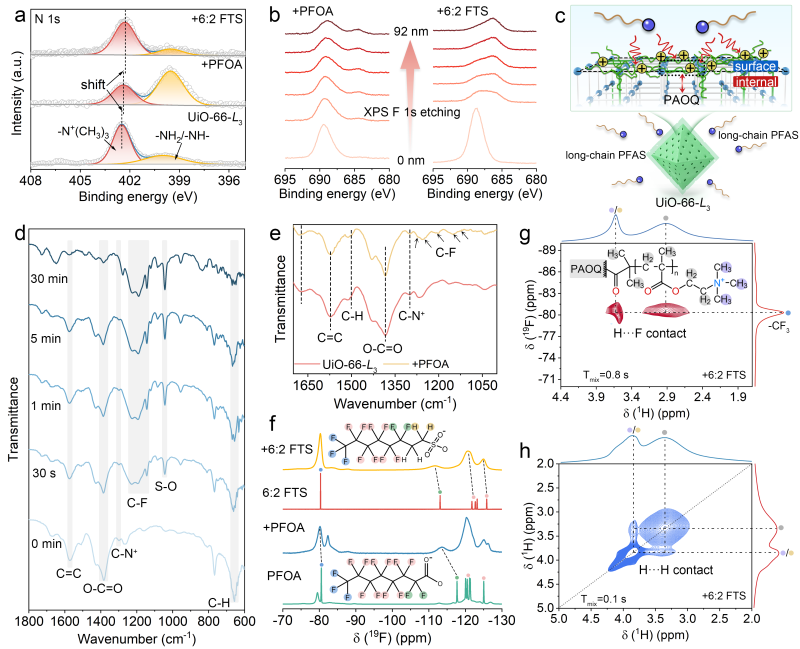 上海交大罗金明副研究员ANGEW发文:表面邻位烷基季胺盐低聚物局域修饰UiO-66-NH2高效去除水中长链PFAS及衍生物