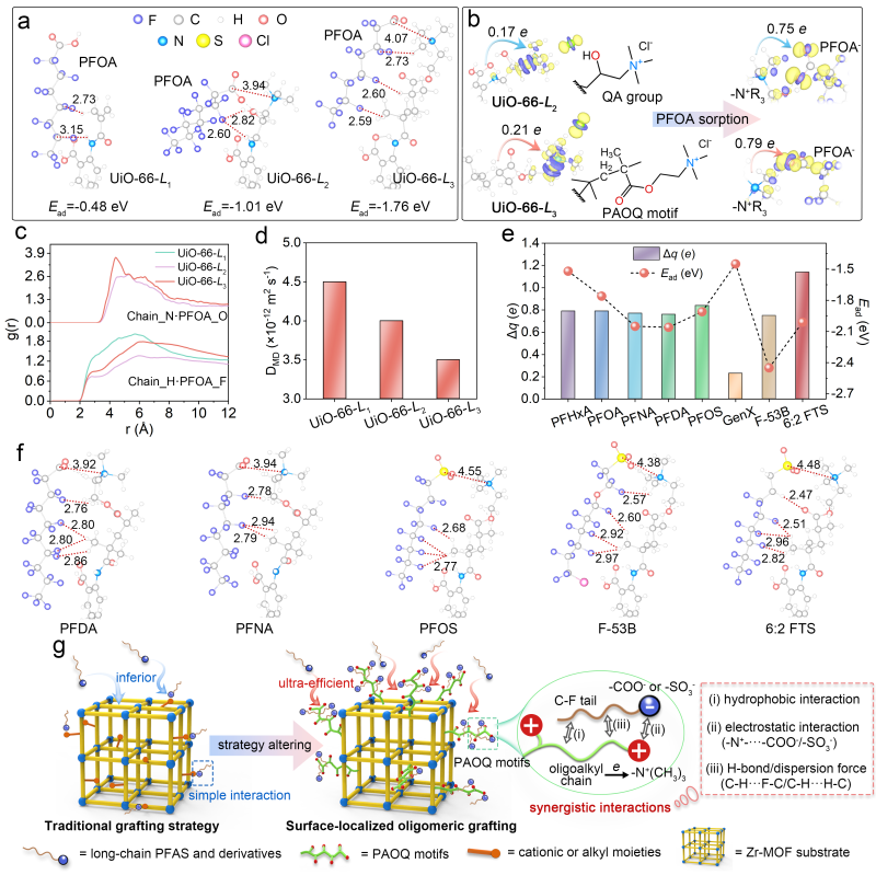 上海交大罗金明副研究员ANGEW发文:表面邻位烷基季胺盐低聚物局域修饰UiO-66-NH2高效去除水中长链PFAS及衍生物