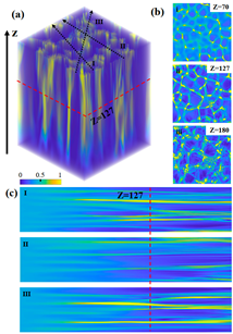 上海交大叶芳伟课题组首次观察到光的“二维网络和分叉”奇观