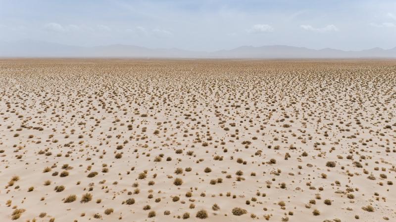 上海交大刘权兴团队发表PNAS:发现全球干旱生态系统中的“无序超均匀”斑图,为生态系统临界点预警提供新范式