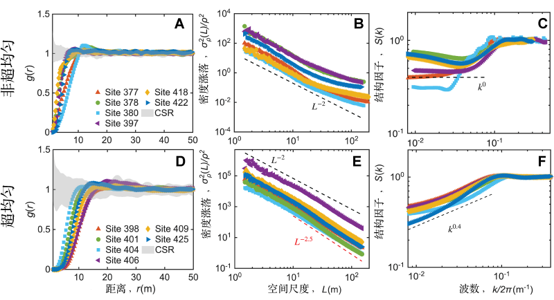 上海交大刘权兴团队发表PNAS:发现全球干旱生态系统中的“无序超均匀”斑图,为生态系统临界点预警提供新范式
