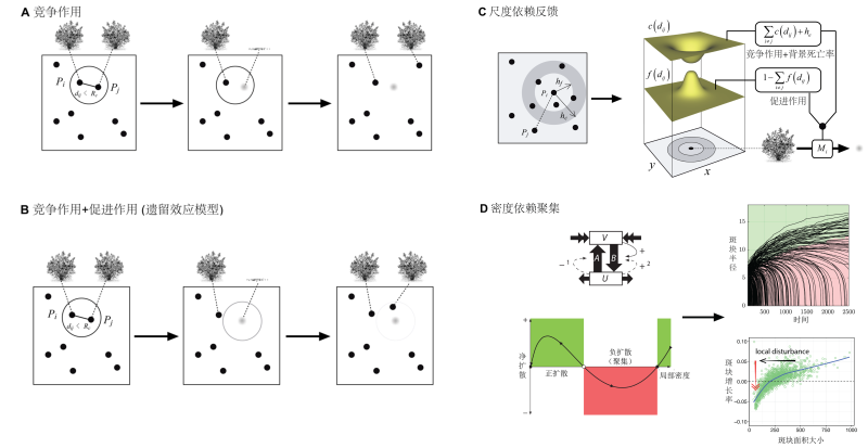 上海交大刘权兴团队发表PNAS:发现全球干旱生态系统中的“无序超均匀”斑图,为生态系统临界点预警提供新范式