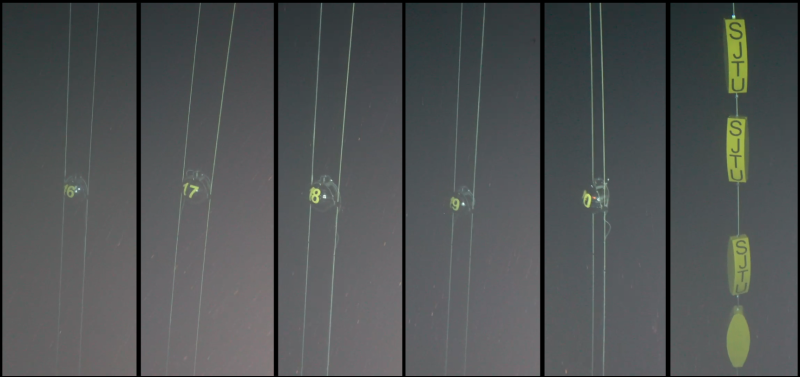 我国深海中微子探测技术取得重大进展——柔性潜标精密布放装置“蜘蛛系统”成功完成海试
