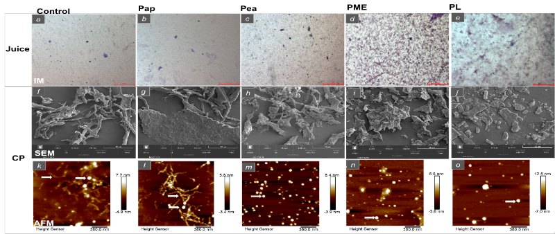 上海交大敬璞教授团队揭示浑浊柚子汁中果胶主导的胶体不稳定性:酶消化后其形态和流变特性