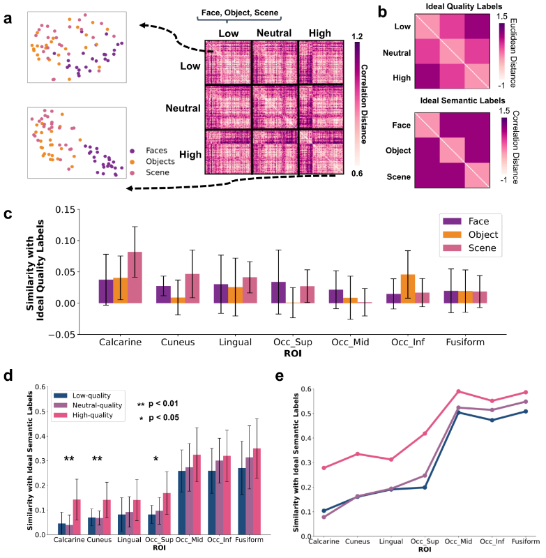 上海交大翟广涛课题组研究揭示人脑如何“脑补”模糊画面