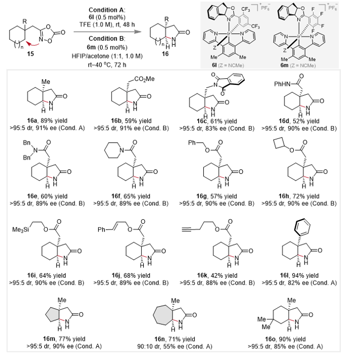 上海交大马佳佳团队实现一类新型手性Ir(III) Pincer催化剂的开发与应用