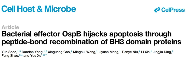 上海交大许悦课题组揭示细菌蛋白以全新酶学活性抑制细胞凋亡的机制