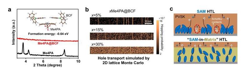 上海交大赵一新团队Nature发文,以“基质限域分子层”型电荷传输层设计实现高效率大面积钙钛矿光伏模组