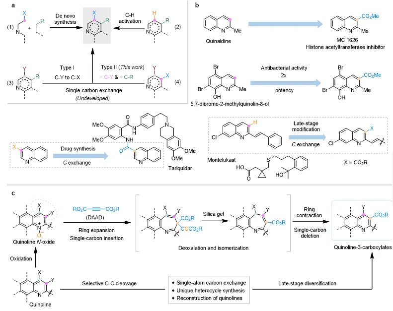 上海交大吴华课题组JACS发文:喹啉骨架上的碳原子置换