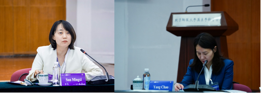 北京师范大学中巴法律与人工智能学术研讨会在北京师范大学举行