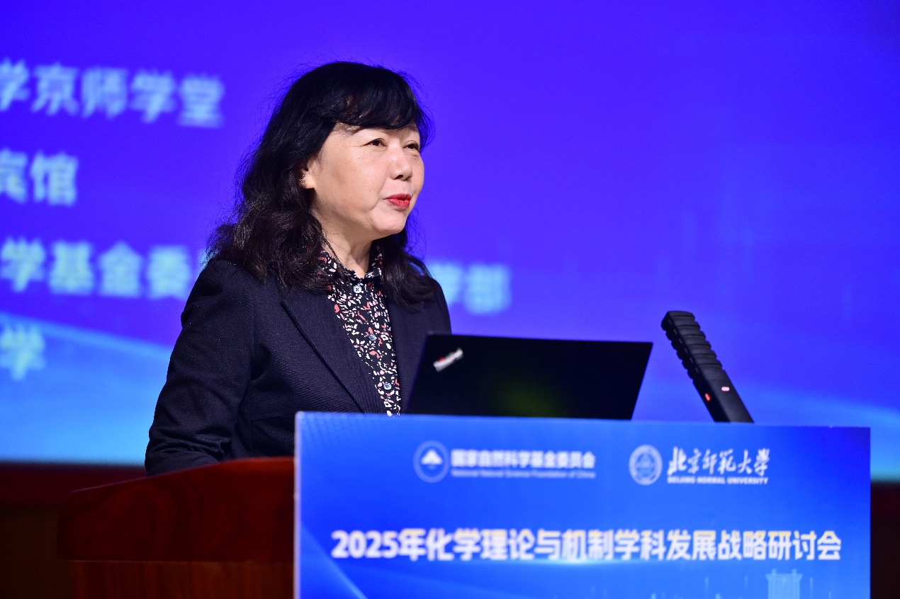 北京师范大学化学理论与机制学科发展战略研讨会在北京师范大学召开