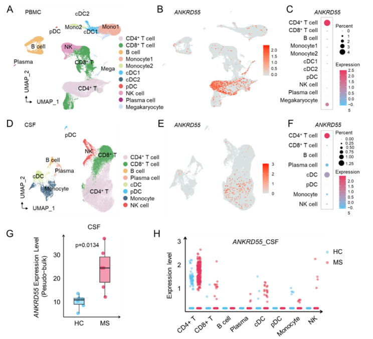电子科技大学医学院张存金教团队授在Journal of Clinical Investigation发表论文
