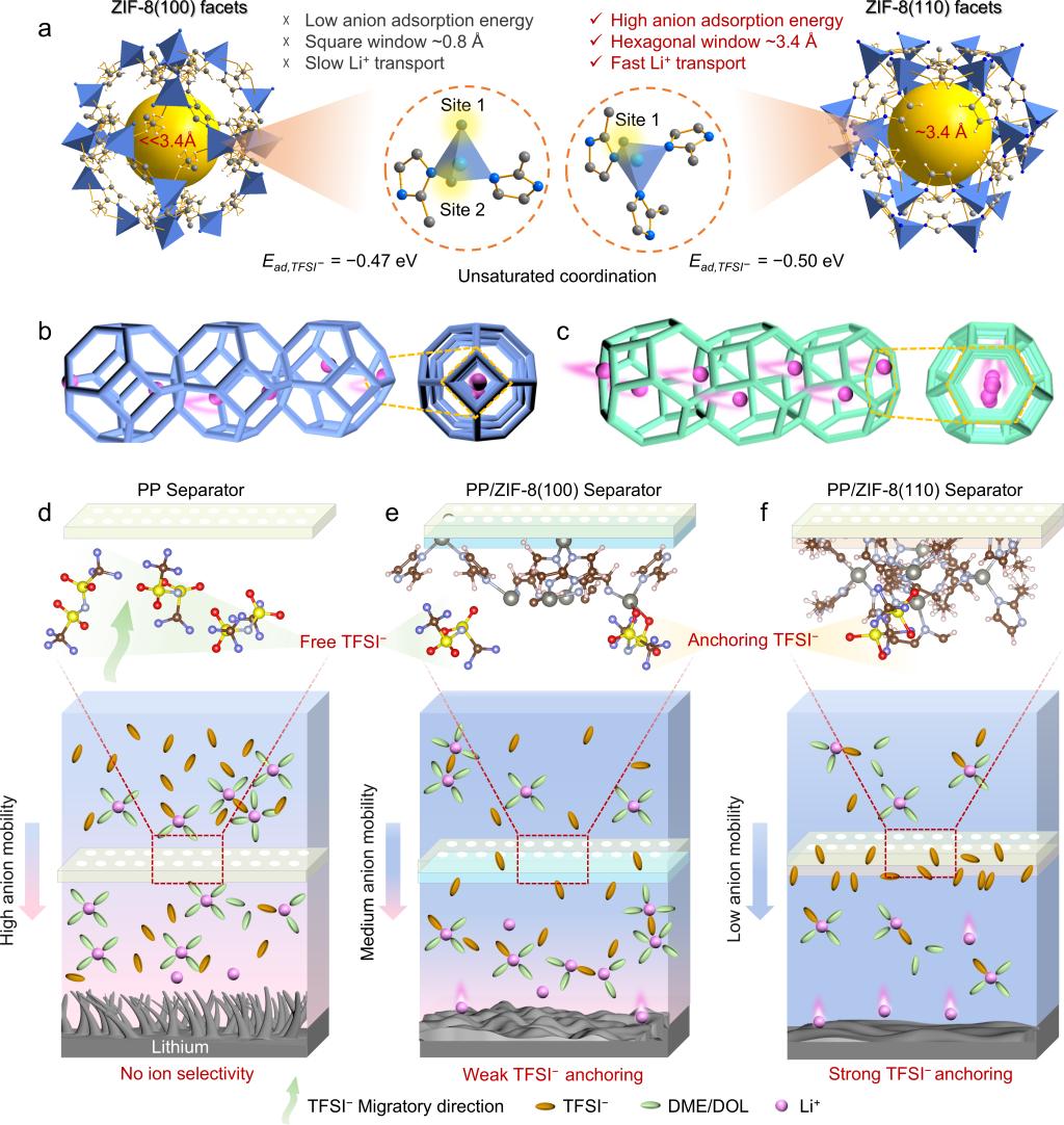 西安交大科研团队在锂金属电池快充隔膜研究领域取得进展