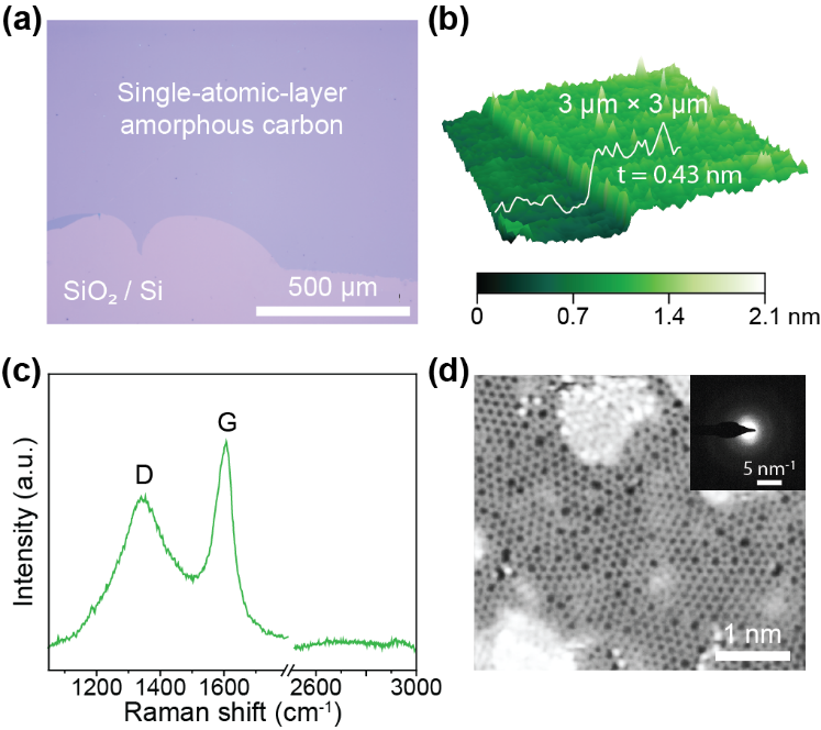 北京大学力学与工程科学学院宋柏团队揭示单原子层二维无定形材料奇特热输运性质