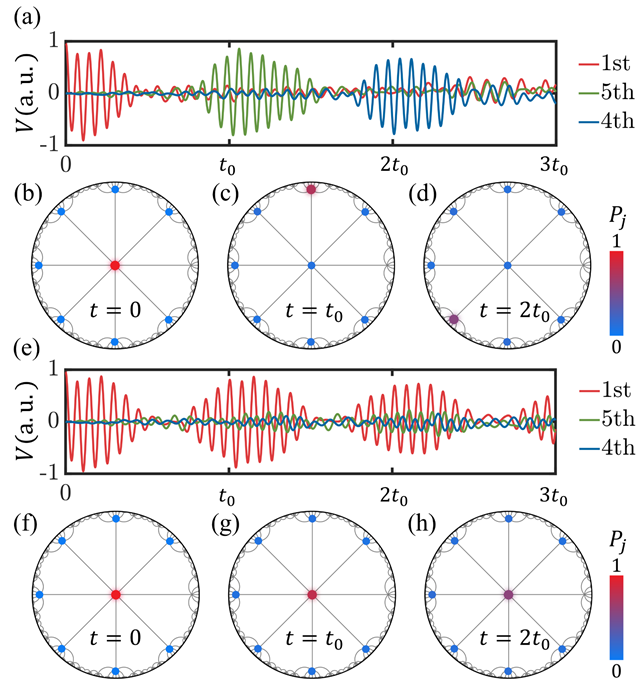 北京理工大学课题组在拓扑电路和拓扑泵浦研究方面取得重要进展
