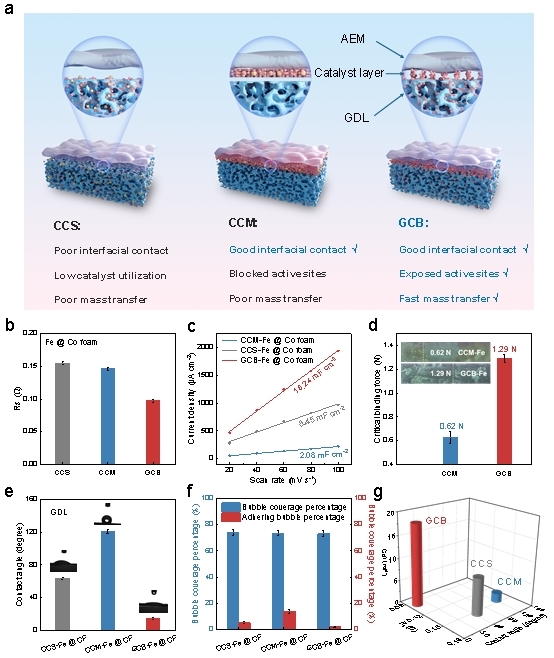 清华大学深圳国际研究生院刘碧录团队开发一种无离聚物近零间隙催化剂桥接膜电极制氢器件