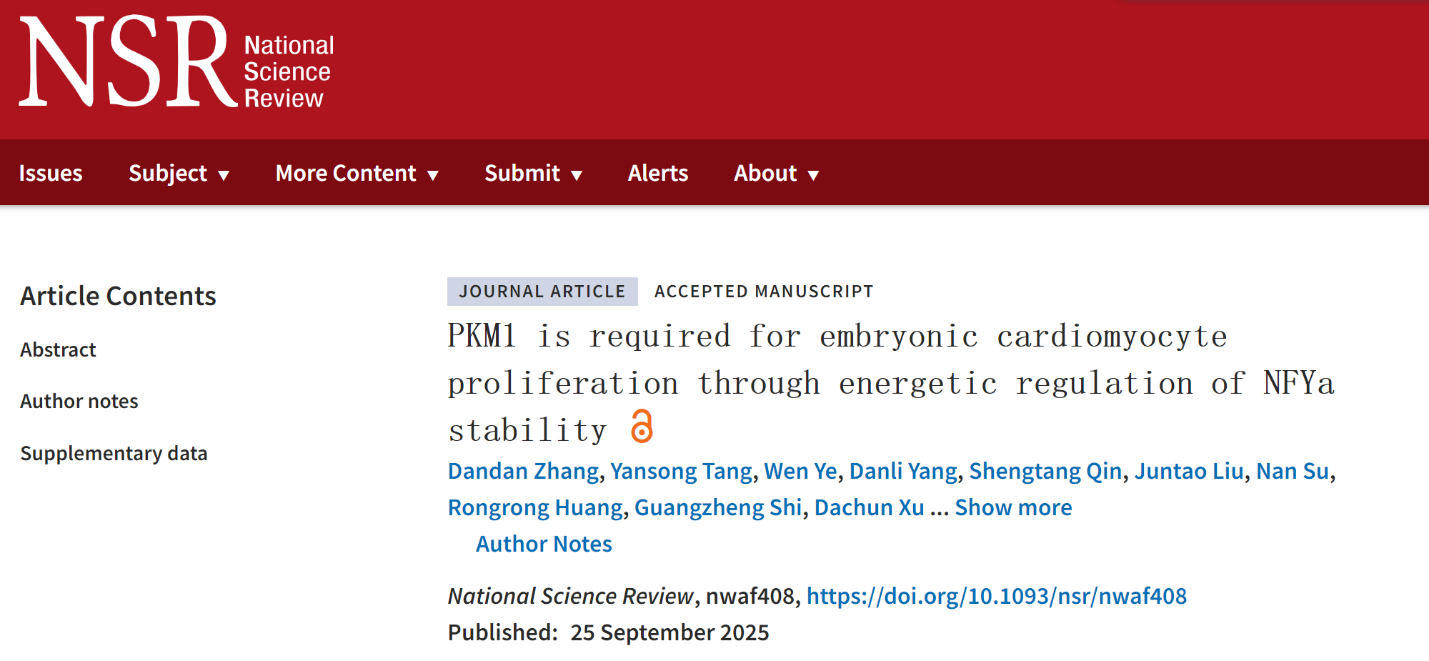 生命科学与技术学院康岚/魏珂/高绍荣团队揭示丙酮酸激酶PKM1在胚胎心肌细胞增殖中的关键作用,成果发表于《国家科学评论》