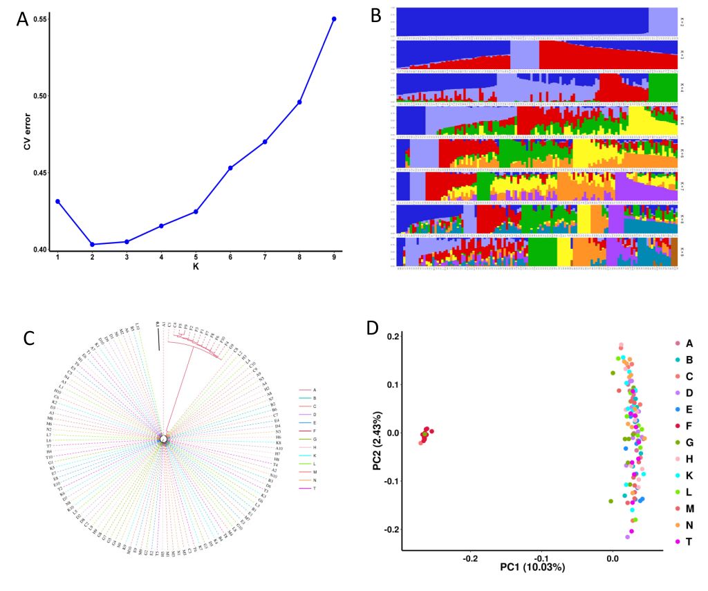 速生树木所在黄花风铃木品种分类研究方面取得新进展