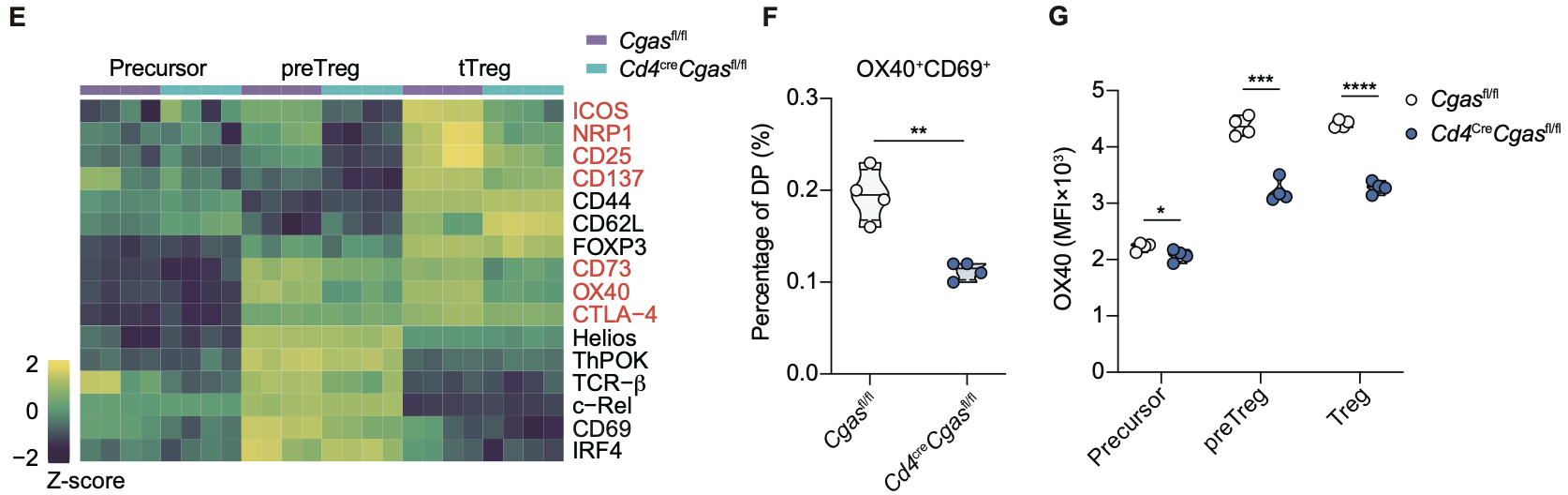 清华大学药学院尹航团队揭示cGAS-CTCF轴维持Treg的发育和功能