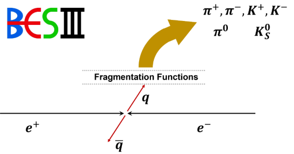 碎裂函数和强子化实验研究取得进展