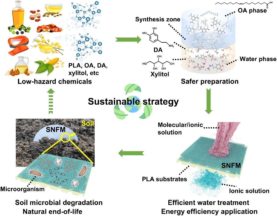 哈工大邵路教授团队提出绿色可持续高效净水纳滤膜概念 实现全生命周期膜水净化