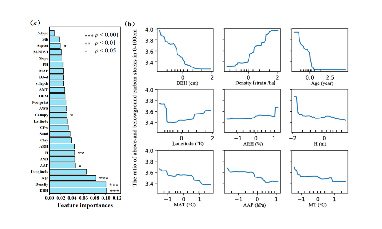 森环森保所证实了运用机器学习的建模方法评估人工林生态系统碳储量的可行性