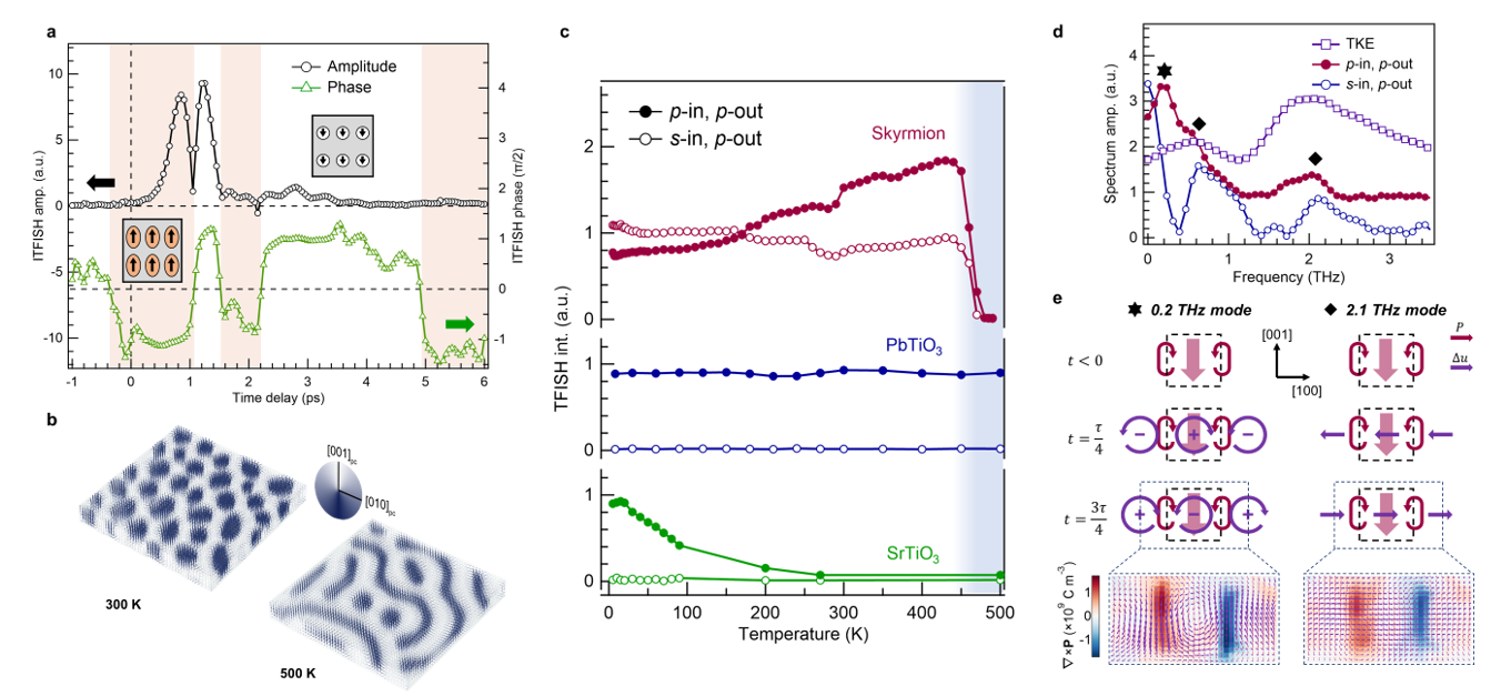 清华大学材料学院李千课题组合作在拓扑铁电材料超快动力学研究领域取得突破